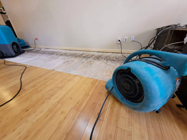 Professional Water Damage Repair technician working in Prosperity, PA